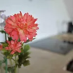 Mikin Apartment